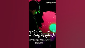 تلاوة خاشعة تبكي القلب😥 بصوت اسلام صبحي حالات واتس اب قران 😭💙🍃