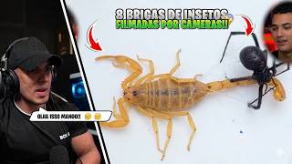 8 BRIGAS DE INSETOS FILMADAS POR CÂMERAS !! HUDSON AMORIM REAGINDO Você Sabia? !