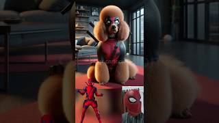 Superheroes but poodles 💥 Marvel & DC-All Characters #marvel #avengers#shorts