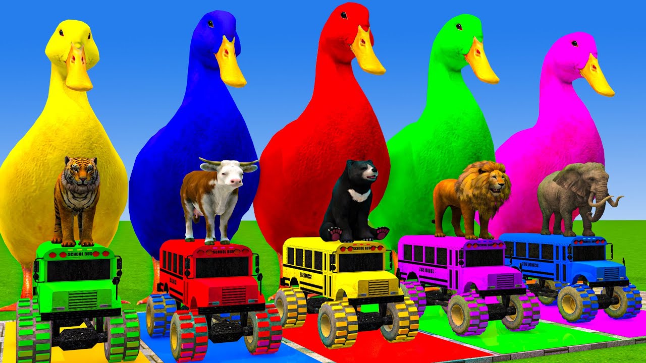 5 Giant Duck Cartoon,Cow,Elephant,Tiger,Lion,Dinosaur,Paint Wild Animals Crossing Fountain Animation
