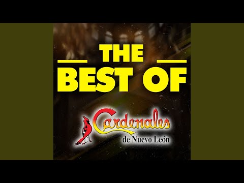 Cardenales De Nuevo León - Si Yo Fuera Él