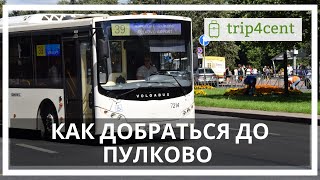 Как добраться до аэропорта Пулково в Санкт-Петербурге на общественном транспорте, каршеринге, такси