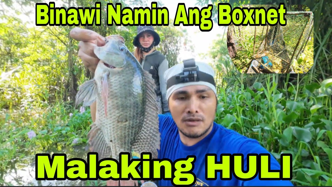 BINAWI NAMIN ANG BOXNET