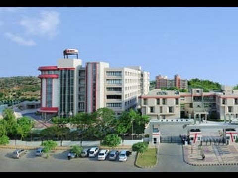 School of Business Others(1) School of Business Others(1)