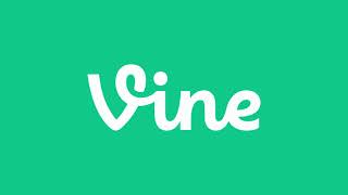 Vine