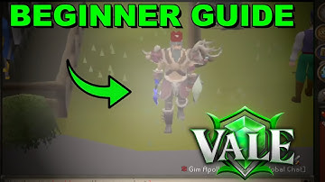 How Did I Get a FREE Donator in This RSPS? Vale RSPS