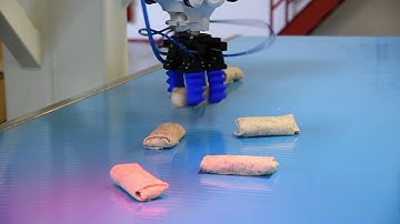 Robotic Automated Picking Burritos - Boston Conveyor & Automation