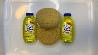 Sparkling lemon & Sunflower essence 🍋🌻✨ #lysol #lemon #asmrsponge #asmr #asmrsounds #satisfying