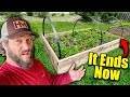 He Stole Food From My Garden!