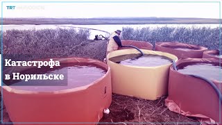 Реки окрасились в кровавый цвет