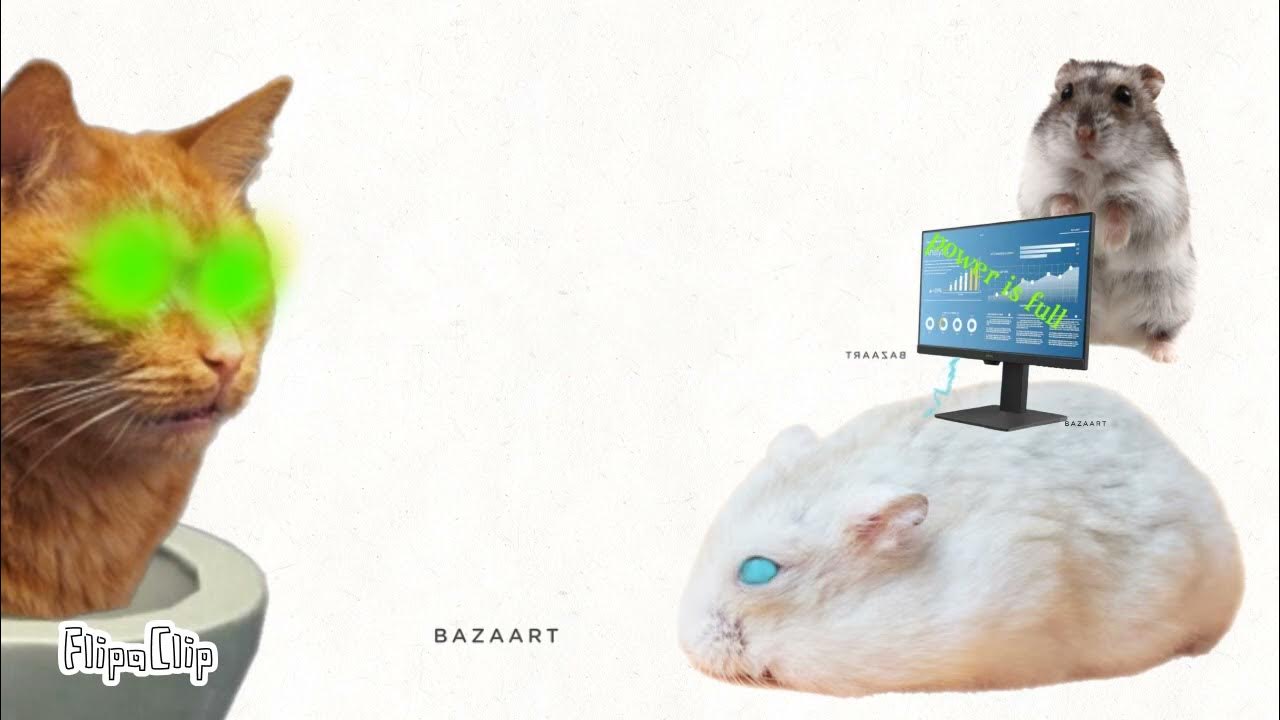 Хомячок и котик 7 - YouTube