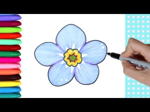 Video: How To Draw A Forget-me-not