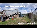 Dumping Off A Loaded Triaxle!! - Weekend Restoration