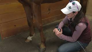 Lower Limb Treatment screenshot 3