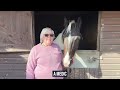 British Equestrian and Sport in Mind collaboration