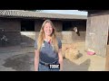 British Equestrian and Sport in Mind collaboration