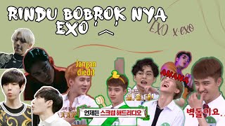 Rindu Bobrok nya EXO - EXO Funny Moment sub indo