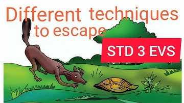 Environmental Science (3)Kerala Syllabus, Different techniques to escape