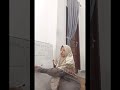 Idul Adha 1447 H#iduladha #fyp #viralvideo #tahsin #ngaji
