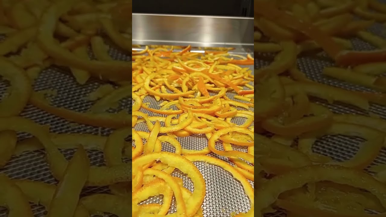 Orange Slices - Fette di Arance disidratate