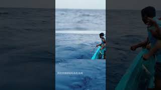 catching in sea fish mahi mahi fish @Neerinmagan_official like share comment views shorts