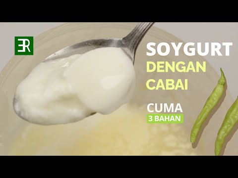 Yogurt Kedelai