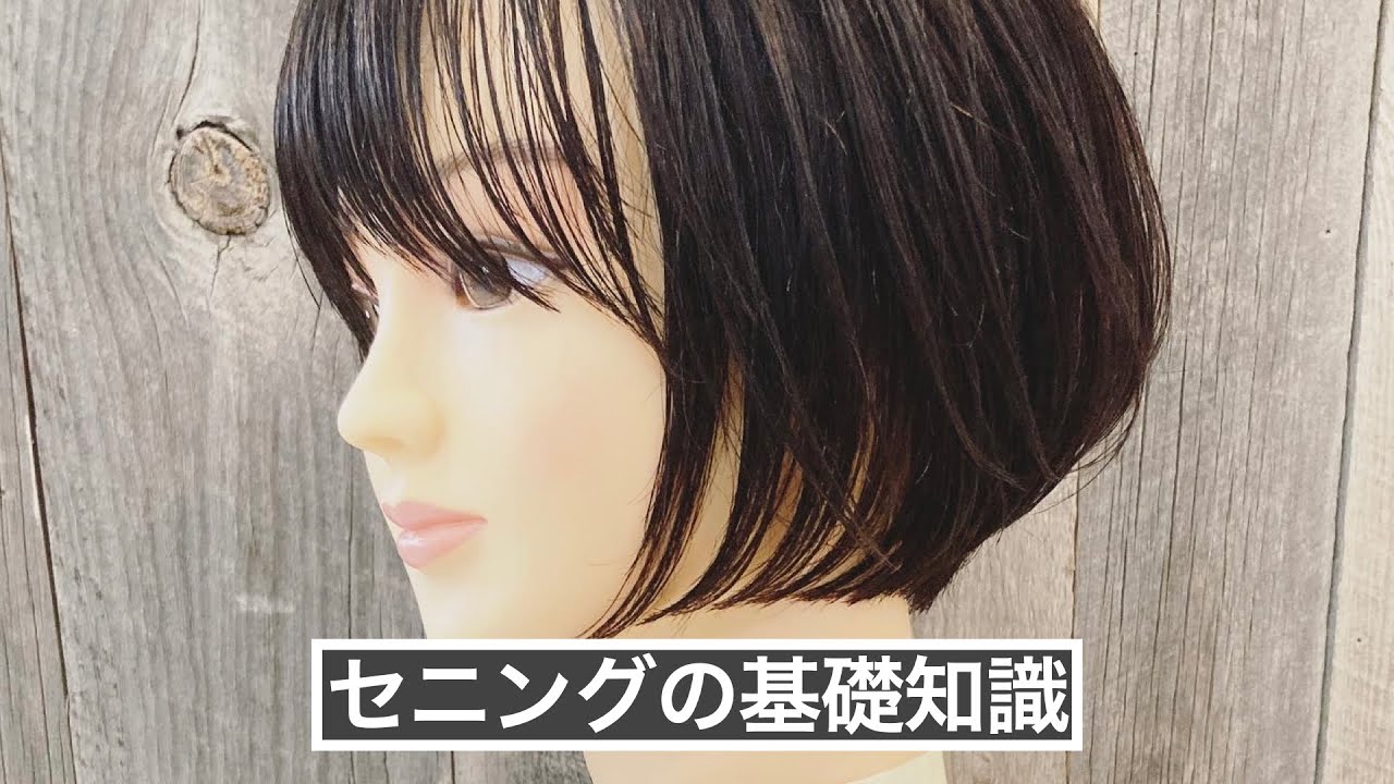Basic knowledge of thinning shears] - YouTube