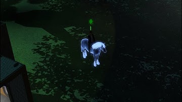 Sims 3 Custom Skill Tutorial