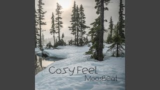 Cozy Feel