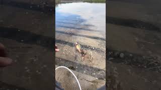Ouch fishinglife outdoors bassfishing nature fail