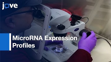 Human iPS Cells, Retinal Pigment Epithelium Derived From iPS, & Fetal l Protocol Preview