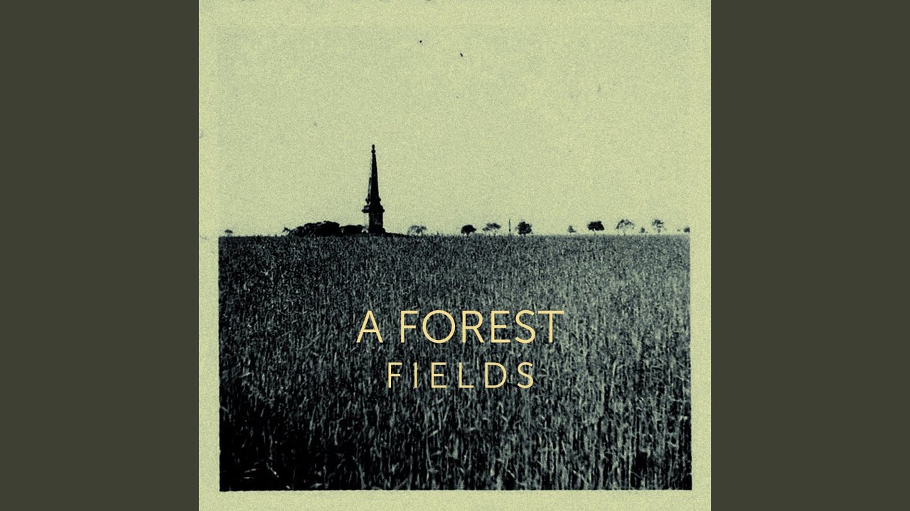 Watch Fields on YouTube Watch Fields on YouTube