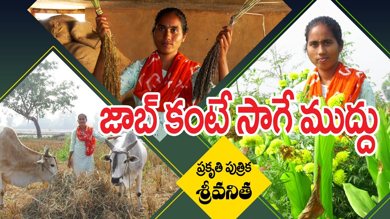 |Natural Farming as a good career choice| ప్రకృతి సాగులో రాణిస్తున్న పెద్దపల్లి యువతి శ్రీ వనిత|