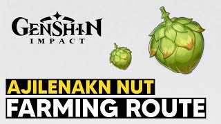 Ajilenakn Nut Farming Route ajilenakn Nut Location  Genshin Impact
