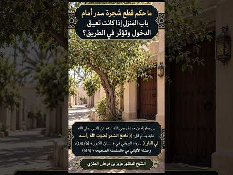ما حكم قطع شجرة سدر أمام باب المنزل إذا كانت تعيق الدخول وتؤثر في الطريق؟ الشيخ عزيز بن فرحان العنزي