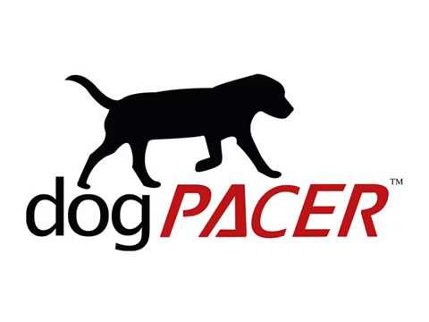 DogPacer für Sporthunde