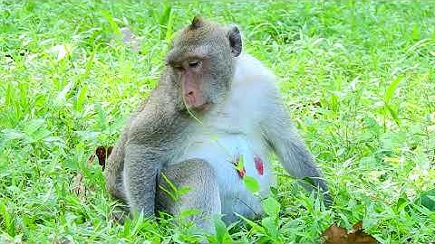 When Jane act like this really has problem but we don