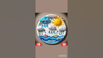 Water Cycle Project | Summer holidays project #summershorts #science #kidspresentation