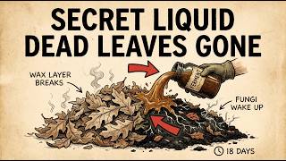 The Secret Liquid That Turns Dead Leaves Into Compost in 18 Days