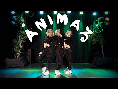 【Anlimited∞】  ANIMAるを踊ってみた ∞ dance cover