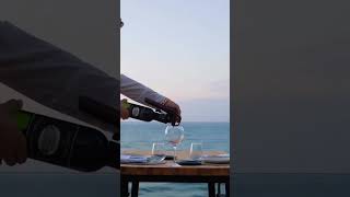 Coravin Wine Preservation System Pour Your Favorite Wines By The Glass The Bar Collective