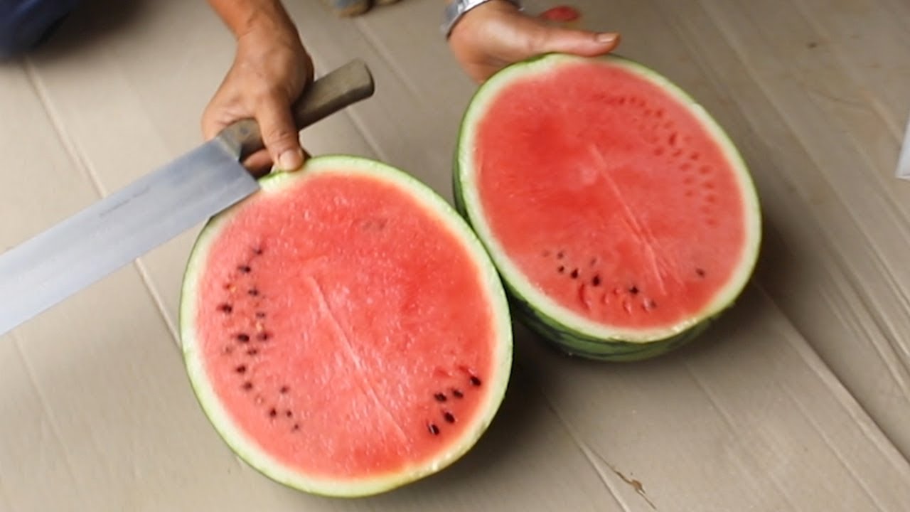 糖度は１２度 甘いスイカの収穫最盛期 Youtube