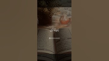 تلاوة هادئة ومريحة 😴🤎 قران كريم بصوت القارئ فارس عباد#راحة نفسية