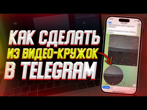 Как сделать видео кружочек из любого видео в Telegram?