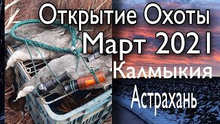 ОТКРЫТИЕ ОХОТЫ/ОХОТА НА УТКУ/ВЕСНА 2021 АСТРАХАНЬ/КАЛМЫКИЯ/ОХОТА ОТ ДУШИ/ТРУДОВАЯ ОХОТА