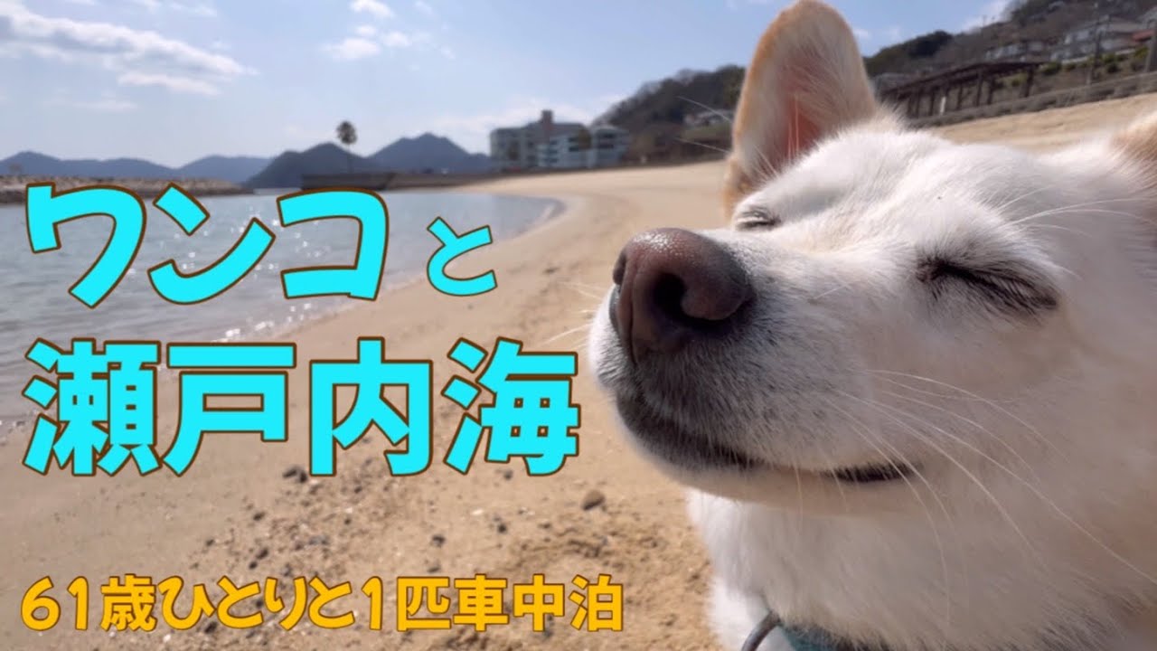 【ひとりと1匹車中泊】ワンコと瀬戸内海を見ながら行き当たりばったり