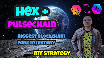 HEX PULSECHAIN THE BIGGEST BLOCKCHAIN FORK IN HISTORY!? My Strategy - Are We About To 10X - 100X!!??