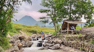 Download Lagu Tempat Tersembunyi di Puncak 2 Ini Bikin Lupa Pulang | De Padee Sukamakmur MP3 Download Lagu Tempat Tersembunyi di Puncak 2 Ini Bikin Lupa Pulang | De Padee Sukamakmur MP3