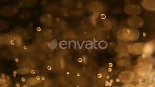 Macro of Champagne or Sparkling Wine (Stock Footage)