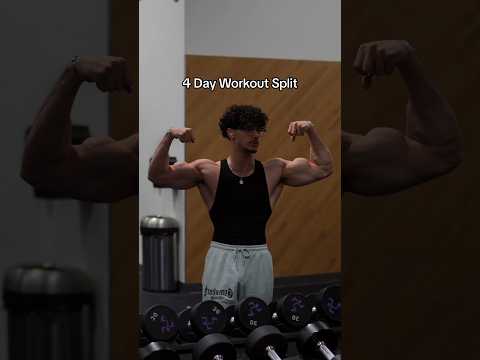 4 Day Workout